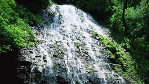 全自动环保高端